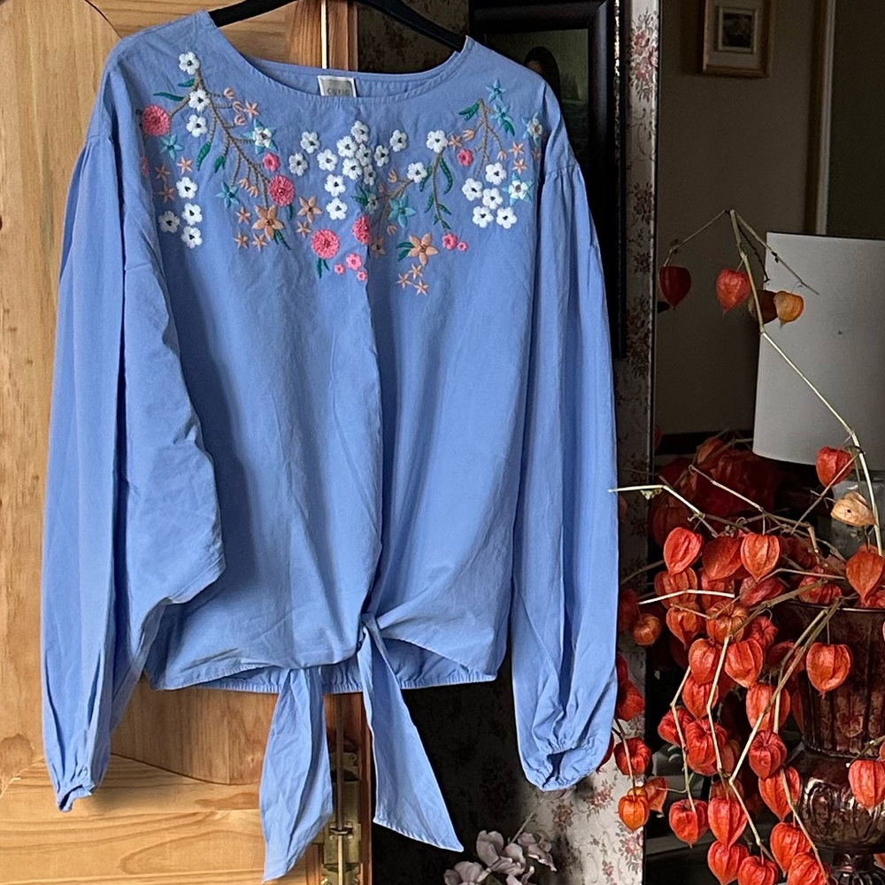 Cupio Light Blue Boho Floral Embroidered Top with balloon sleeves, size S, $45